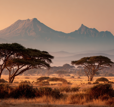 Republic of  South Africa